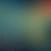 Engaging the Senses: The Rise of Audio Description Services and Their Impact on Blind Users' Media Consumption