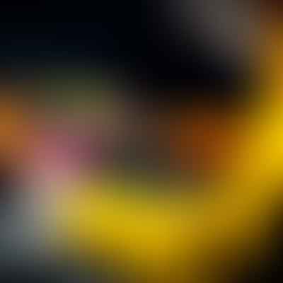 Enhancing Web Experience with Color Contrast Tools for Low Vision Users