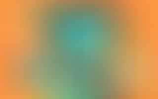 Improving Touchscreen Accessibility for Disabled Users: Tips and Tricks