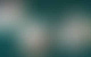 What are the best speech-to-text software options for people with disabilities?